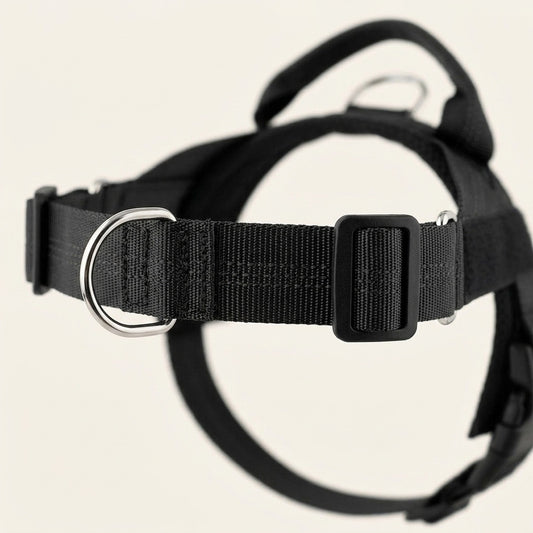 Gros plan : anneau frontal anti-traction sur la sangle de poitrail du harnais Callys