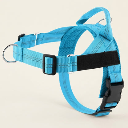 Harnais anti-traction Callys bleu ciel — photo produit studio