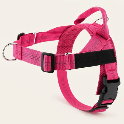 Harnais anti-traction Callys fuchsia — photo produit studio