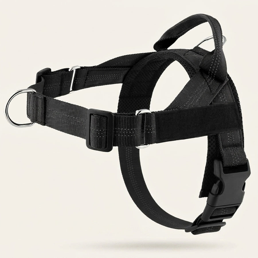 Harnais Anti-Traction Callys™ — personnalisable