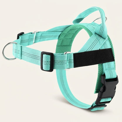 Harnais anti-traction Callys turquoise — photo produit studio
