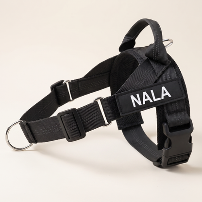 Harnais Callys personnalisé avec le nom NALA imprimé sur la bande latérale