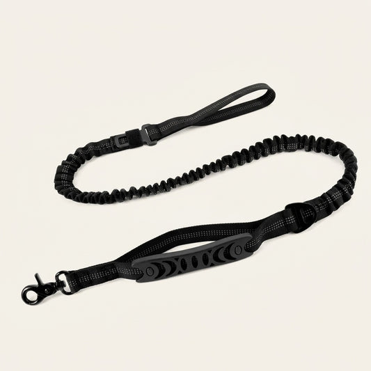 Laisse élastique Callys noire — photo produit studio : poignée rembourrée, élastique, poignée de contrôle, mousqueton