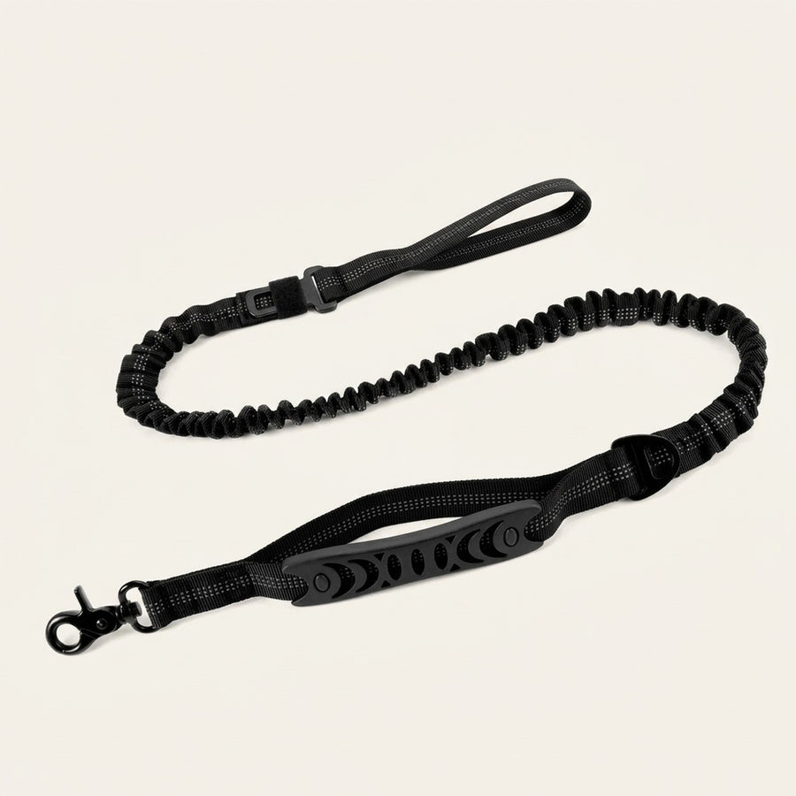 Laisse Élastique Callys™ — deux poignées