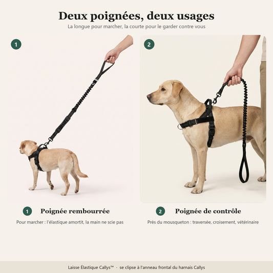 Deux poignées, deux usages — poignée rembourrée pour marcher, poignée de contrôle tenue contre l'épaule