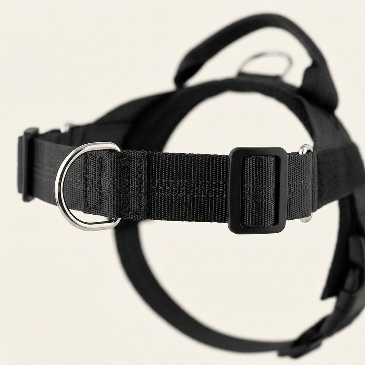 Gros plan : anneau frontal anti-traction sur la sangle de poitrail du harnais Callys